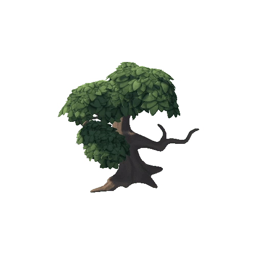 Oak_Tree_d (4)